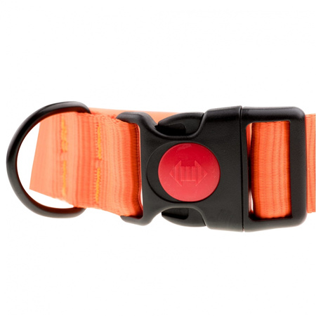 Obroża z taśmy 4wild 40 mm 39-61 cm neonowa pomarańcza