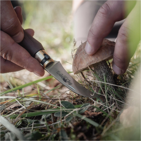 Nóż do grzybów Antonini Old Bear Mushroom orzech