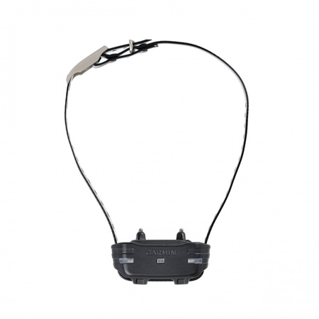 Urządzenie do śledzenia psów Garmin Sport Pro z obrożą