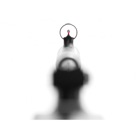 Wiatrówka Norica Verteks GRS 4,5 mm